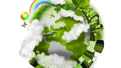 green globes, agriculture, education, urban, solar, environmental education