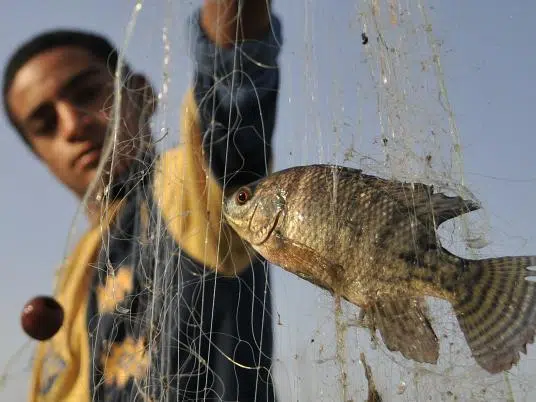 Gobernador prohíbe la pesca recreativa en el sur del Sinaí 1 fish-in-net