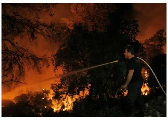 Greenpeace responde a los incendios de Carmel en Israel y el cambio climático en el país ya está aquí 1 "israel fire carmel forest"