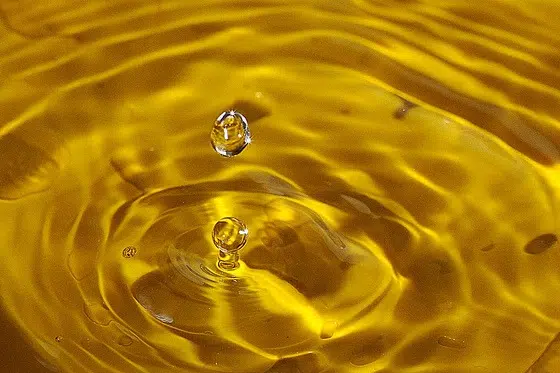 Israel Cleantech Intelligence: TaKaDu y 8 titulares más 1 rain water