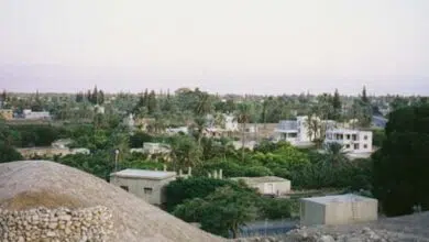 Japón construirá planta de energía solar en Jericó, Palestina 7 Japón construirá planta de energía solar en Jericó, Palestina