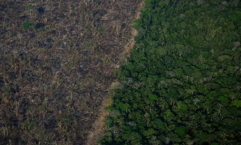 La eliminación de carbono es 'inevitable' a medida que aumentan los peligros climáticos, según un nuevo informe del IPCC 1 La eliminación de carbono es 'inevitable' a medida que aumentan los peligros climáticos, según un nuevo informe del IPCC