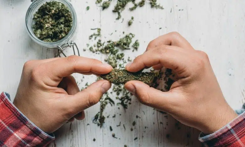 La marihuana podría no disminuir su coeficiente intelectual 1 La marihuana podría no disminuir su coeficiente intelectual