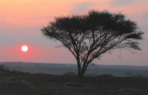 La retirada amenaza la viabilidad de la licitación solar Ashelim de Israel 1 Negev desert