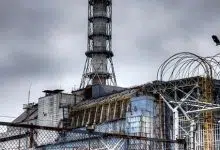 La vida silvestre de Chernobyl regresa a pesar de la contaminación