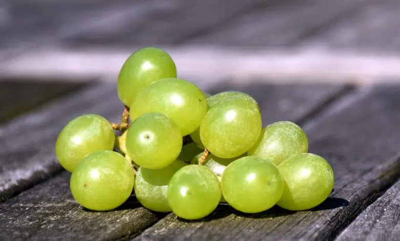 Las Doce Uvas de la Suerte, la Gran Tradición Española de Nochevieja 1 Las Doce Uvas de la Suerte, la Gran Tradición Española de Nochevieja