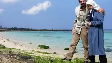 Las semillas de algas necesitan alimento verde 9 Las semillas de algas necesitan alimento verde