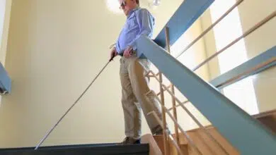 Los cerebros ciegos se adaptan de manera similar 7 Los cerebros ciegos se adaptan de manera similar