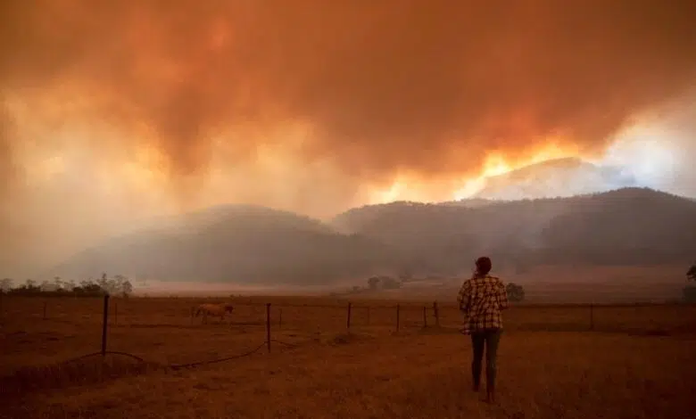 Los incendios duplican las emisiones de carbono de Australia, y es posible que los ecosistemas nunca lo absorban 1 Los incendios duplican las emisiones de carbono de Australia, y es posible que los ecosistemas nunca lo absorban