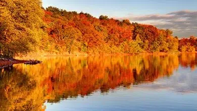 Los suelos comienzan a recuperarse después del daño de la lluvia ácida 7 Los suelos comienzan a recuperarse después del daño de la lluvia ácida