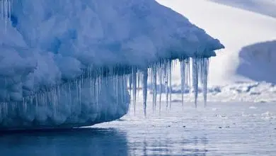 Los terribles hitos de los gases de efecto invernadero reducen las esperanzas de reducir el cambio climático 9 greenhouse gas emissions, global warming, climate change, carbon dioxide, methane