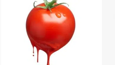 Lycored reemplaza Red 40 con colorantes de tomate Kosher y Halal