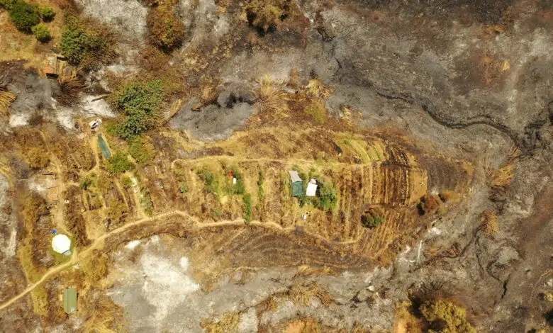 Mientras arden los incendios forestales en Portugal, este fotógrafo lucha por salvar su granja 1 Mientras arden los incendios forestales en Portugal, este fotógrafo lucha por salvar su granja