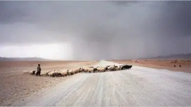 Muchos "qué pasaría si", pero las reservas minerales de Afganistán ofrecen esperanza para el país devastado por la guerra (y la industria de automóviles eléctricos) 17 Muchos "qué pasaría si", pero las reservas minerales de Afganistán ofrecen esperanza para el país devastado por la guerra (y la industria de automóviles eléctricos)