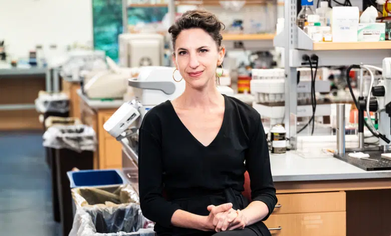 Neurocientífico llamado MacArthur 'genio' habla sobre creatividad en la ciencia 1 Neurocientífico llamado MacArthur 'genio' habla sobre creatividad en la ciencia