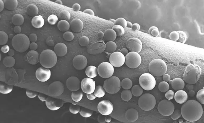 Nuevo método de crecimiento de nervios podría ayudar a soldados heridos y otras personas 1 Nuevo método de crecimiento de nervios podría ayudar a soldados heridos y otras personas