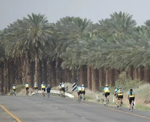 Potencia del pedal - Profeta verde 1 Potencia del pedal - Profeta verde