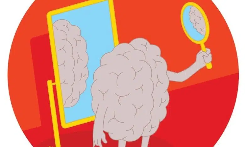 Pronosticar o recordar: el cerebro debe elegir uno 1 Pronosticar o recordar: el cerebro debe elegir uno
