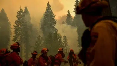 Psicólogos instan a sus pares a tomar medidas climáticas 6 Psicólogos instan a sus pares a tomar medidas climáticas