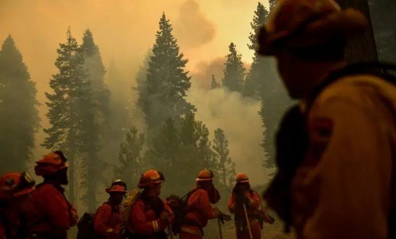 Psicólogos instan a sus pares a tomar medidas climáticas 1 Psicólogos instan a sus pares a tomar medidas climáticas