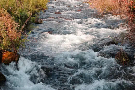 Purificación del agua y 9 titulares de tecnología limpia relacionados con Israel para la semana del 16 de mayo de 2010 1 Tel-Dan-Stream