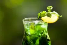 Receta de limonada de menta siria - Green Prophet