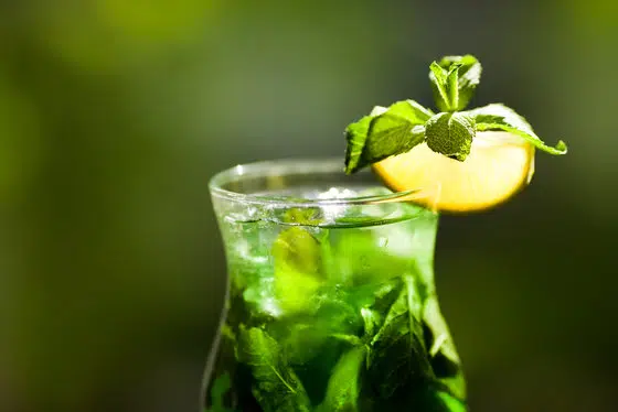Receta de limonada de menta siria - Green Prophet 1 Receta de limonada de menta siria - Green Prophet