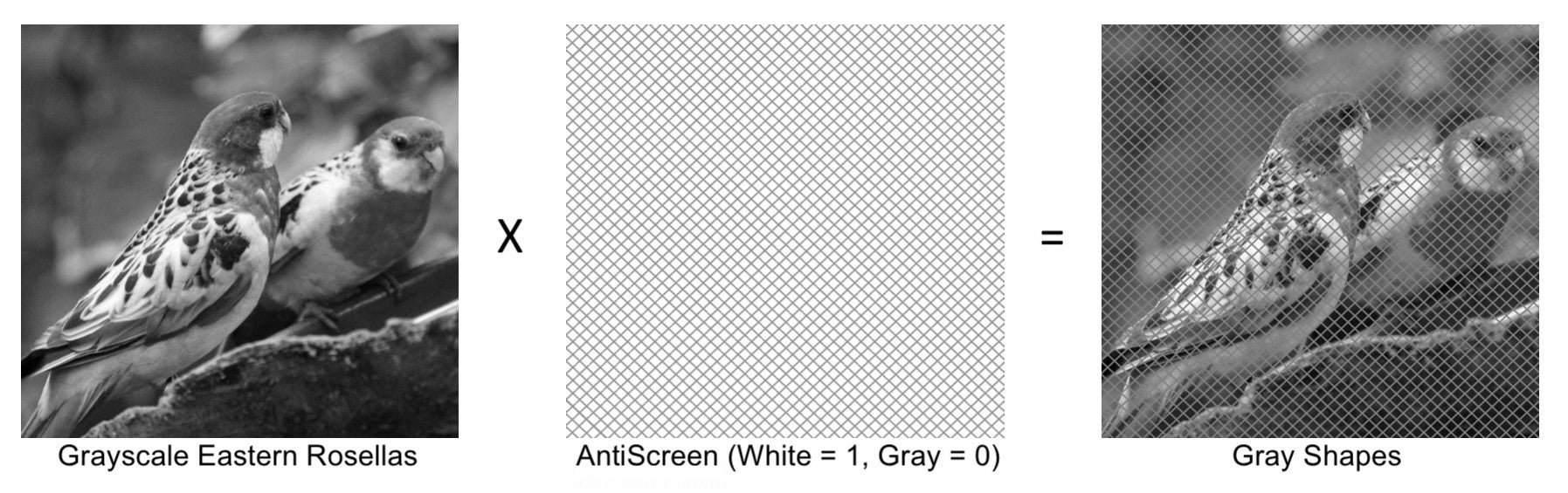 True Colors Shine - Red de blogs de Scientific American 2 True Colors Shine Red de blogs de Scientific American