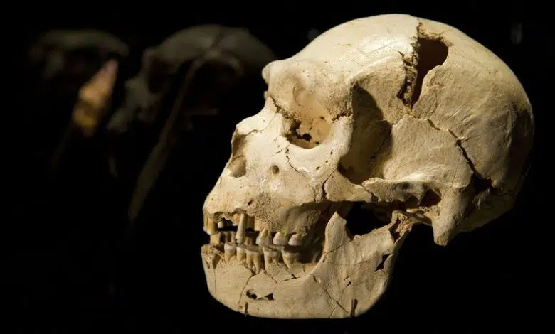 Una simulación sin precedentes da pistas sobre cómo el clima dio forma a la migración humana 1 Una simulación sin precedentes da pistas sobre cómo el clima dio forma a la migración humana