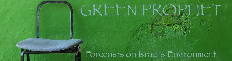 Yom Kippur: Un día sin coches en Tel Aviv 1 Yom Kippur: Un día sin coches en Tel Aviv