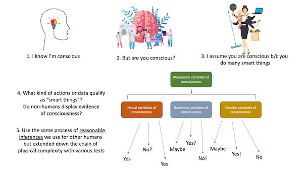 ¿Dónde está mi medidor de conciencia? - Red de blogs de ciencia estadounidense 2 1659568859 96 ¿Donde esta mi medidor de conciencia Red de blogs