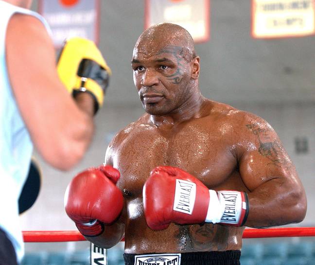 Mike Tyson usó hongos mágicos en la pelea con Roy Jones Jr. 2 Crédito: Alamy
