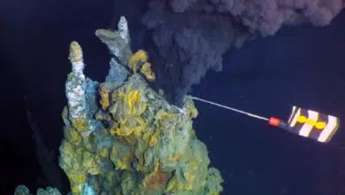Enormes respiraderos hidrotermales altísimos descubiertos en lo profundo del Océano Pacífico 7 black, mineral-filled water shown spewing out of a hydrothermal vent that a robot is collecting samples from