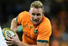 Noticias del equipo de Rugby Championship: Australia hace seis cambios para Sudáfrica Nueva Zelanda tiene la misma creencia XV | Noticias de la Unión de Rugby