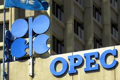 A los ojos de los periodistas: buscando representantes árabes en Copenhague 1 opec-sign-logo