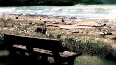 Arte y espiritualidad: el antídoto para más grande, mejor, más 7 peaceful-waterside-bench