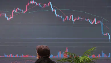 Bitcoin alcanza el nivel más bajo en medio año mientras continúa la recesión de las criptomonedas 24 Bitcoin alcanza el nivel más bajo en medio año mientras continúa la recesión de las criptomonedas