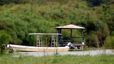 lake-naivasha-boat