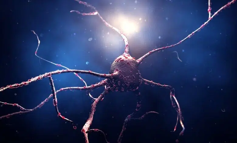 Células madre reprogramadas implantadas en pacientes con enfermedad de Parkinson 1 Células madre reprogramadas implantadas en pacientes con enfermedad de Parkinson