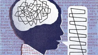Cómo el lenguaje moldea el cerebro