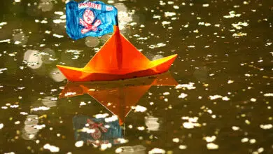 Cómo la escasez de agua llevó a los piratas a entrar en el Golfo de Adén 14 Cómo la escasez de agua llevó a los piratas a entrar en el Golfo de Adén
