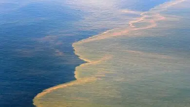 Cómo la solución de derrames de petróleo de $ 18.7 mil millones de BP podría ayudar al Golfo de México