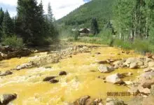 Consecuencias del derrame de la mina de Colorado: cómo limpiar el río
