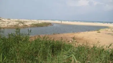 Contaminación, Reserva Natural y Estuario de Tortugas en Uno (Poleg Stream)