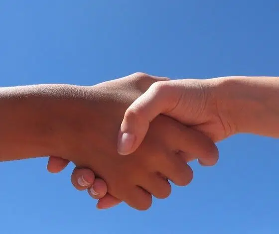 Desertec planea recibir impulso de MENA y la política de energía renovable de la UE 1 desertec eu mena renewable policies