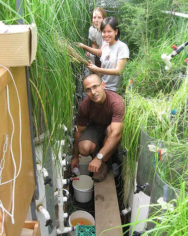 Diálisis de los acuíferos de nuestra ciudad 1 water-dialysis-JNF-photo yaron zinger jnf