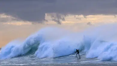 Dos adolescentes hospitalizados en Australia por presunto ataque de tiburón 9 Dos adolescentes hospitalizados en Australia por presunto ataque de tiburón