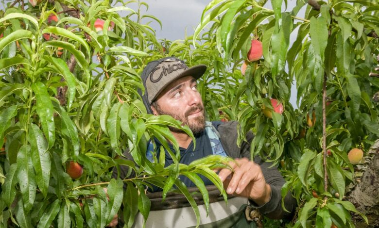El 'agujero de calentamiento' de Estados Unidos: explicación de las anomalías climáticas 1 El 'agujero de calentamiento' de Estados Unidos: explicación de las anomalías climáticas