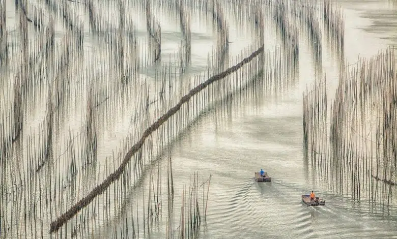 El cambio de dióxido de carbono del aire al océano puede ser necesario para frenar el calentamiento 1 El cambio de dióxido de carbono del aire al océano puede ser necesario para frenar el calentamiento