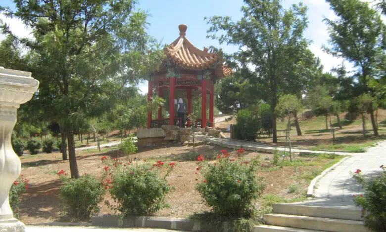 El polvo que barre el golfo Pérsico proporciona nutrientes clave 1 nasa-arabian-gulf